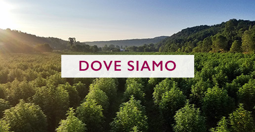 Dove siamo a Milano Lambrate, orari e contatti